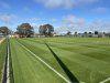 St Georges Reserve