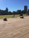 Junction Oval Centre of Excellence