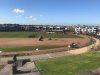 Waverley Park